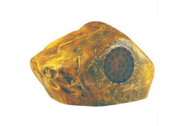 產(chǎn)品展示